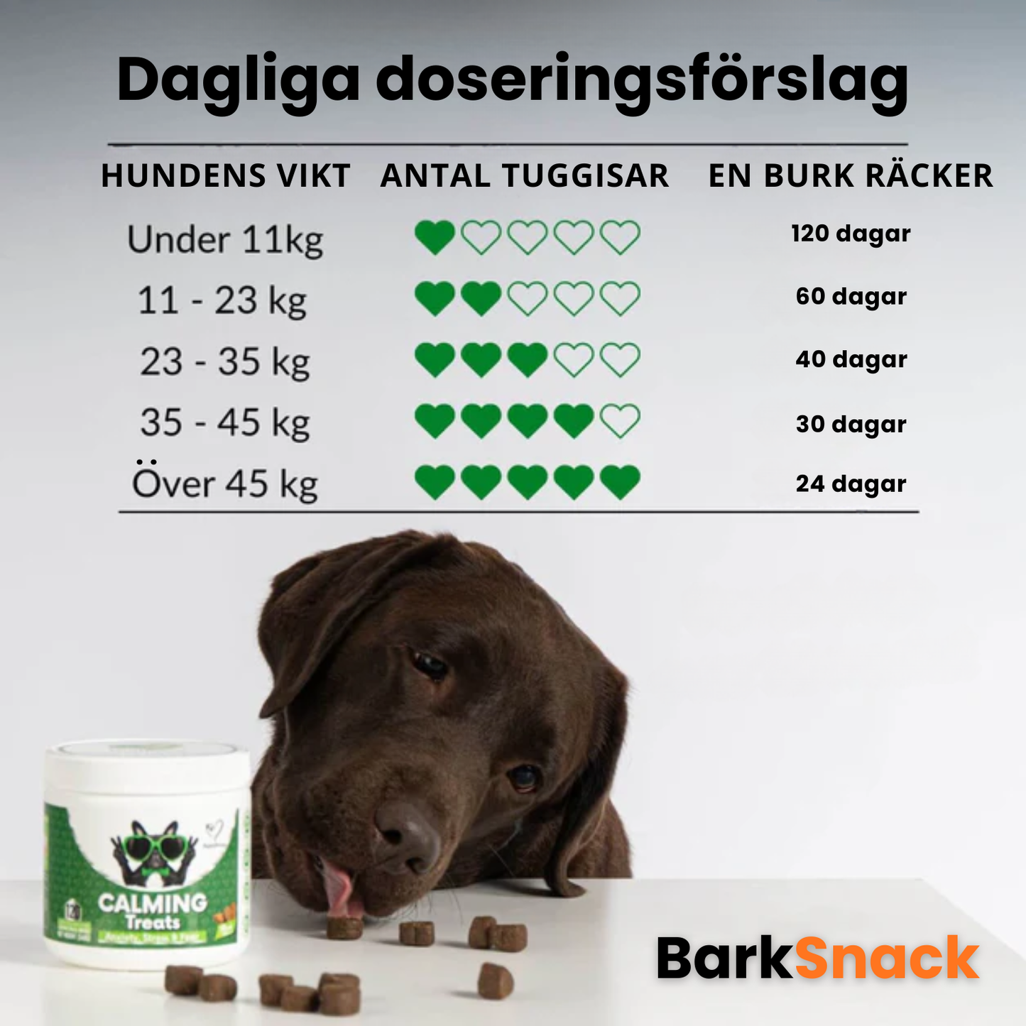 BarkSnack – För en lugnare och tryggare hund
