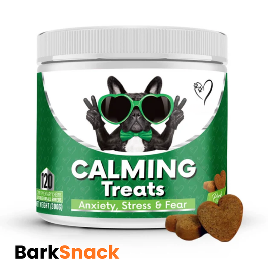 BarkSnack – För en lugnare och tryggare hund