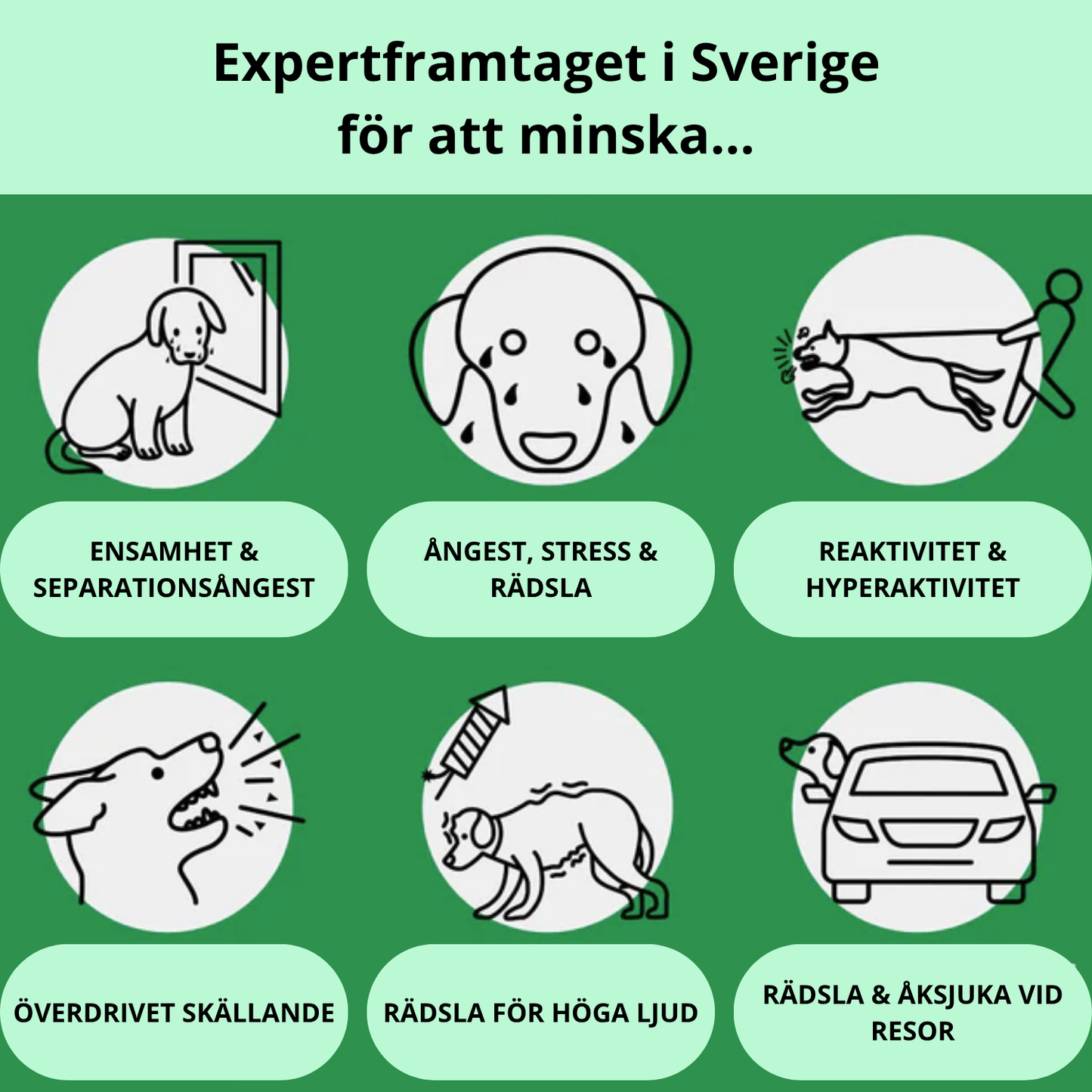 BarkSnack – För en lugnare och tryggare hund