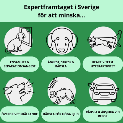 BarkSnack – För en lugnare och tryggare hund