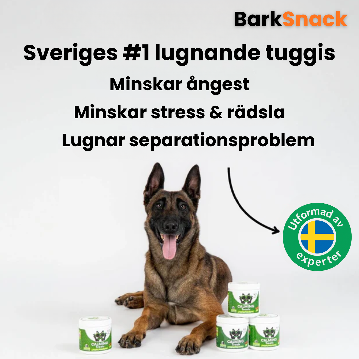 BarkSnack – För en lugnare och tryggare hund