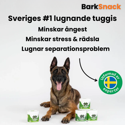 BarkSnack – För en lugnare och tryggare hund