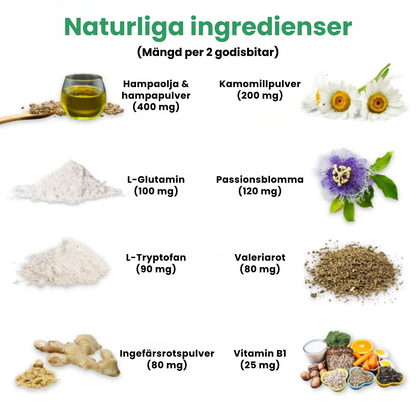 BarkSnack – För en lugnare och tryggare hund