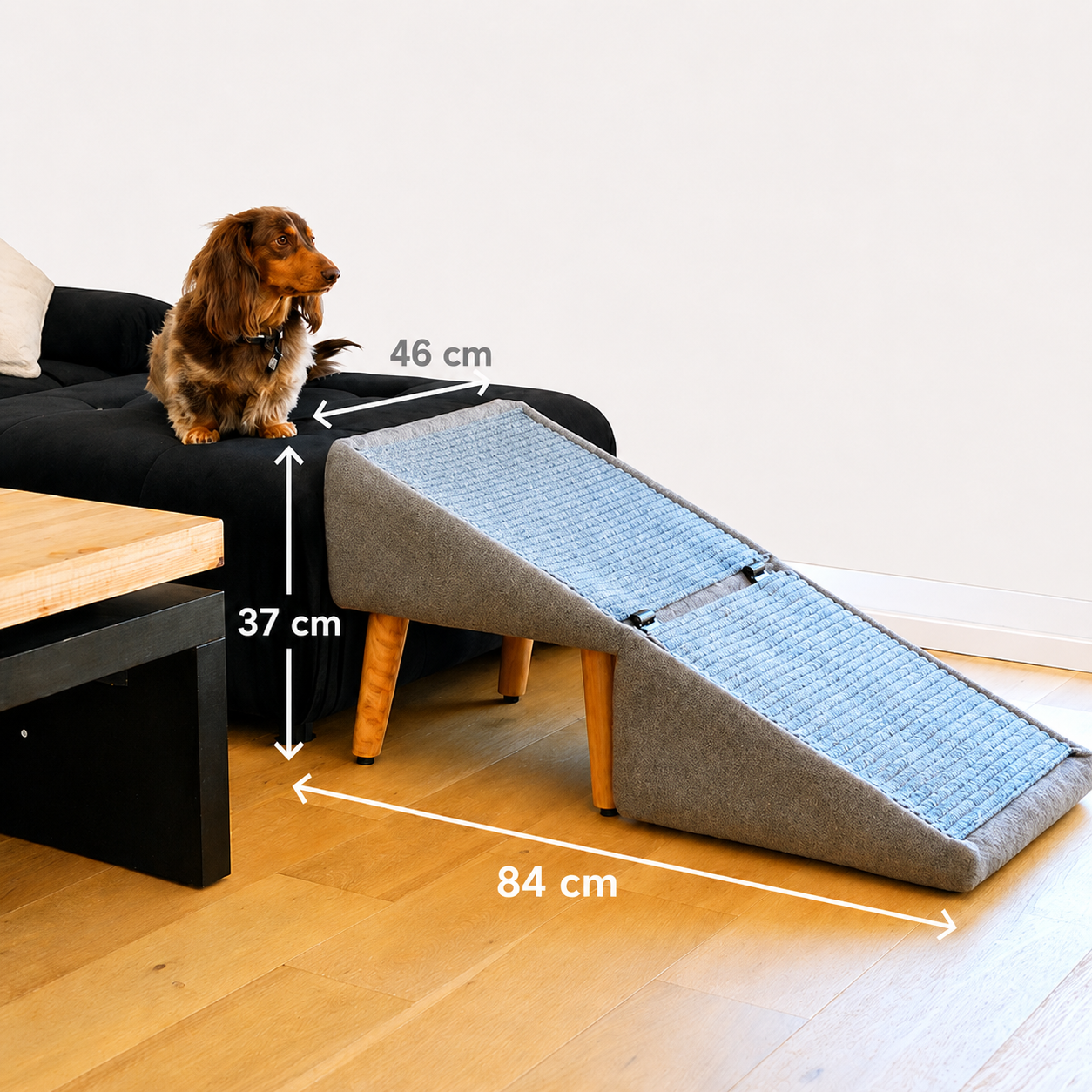 HundRamp - Skyddar din hund leder
