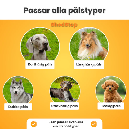 ShedStop – Professionell pälsvård hemma