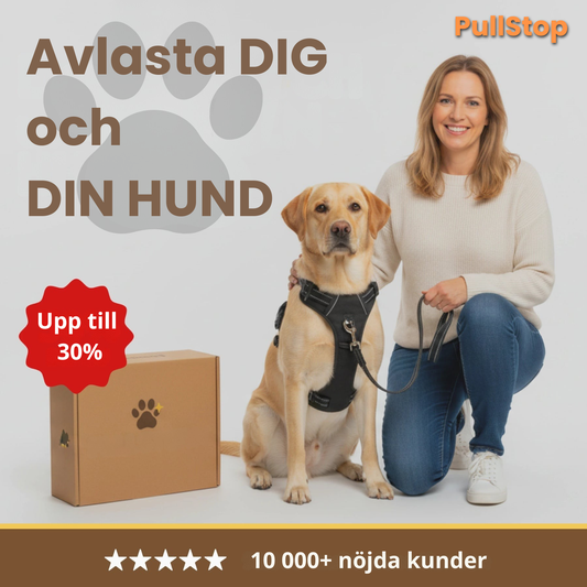 PullStop – Slipp drag i kopplet