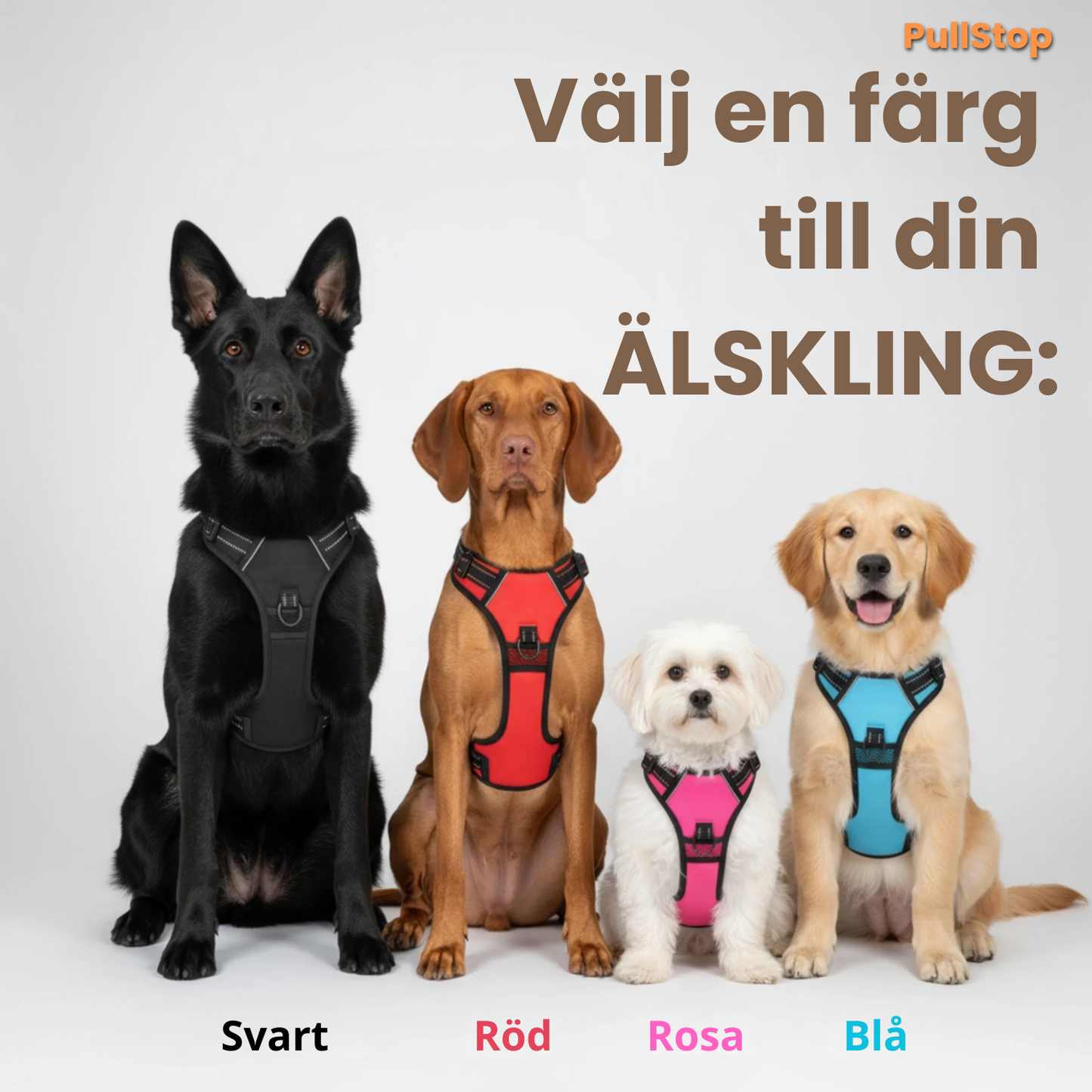 PullStop – Slipp drag i kopplet