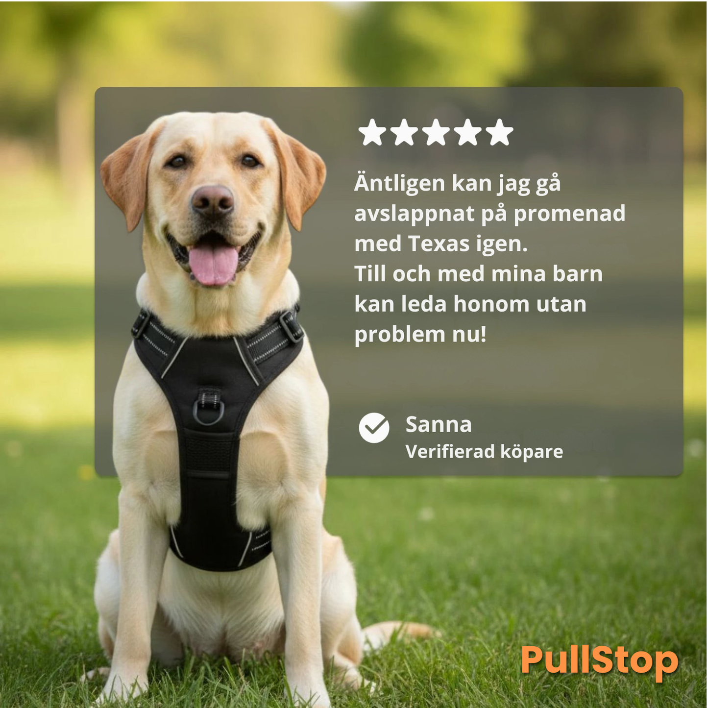 PullStop – Slipp drag i kopplet