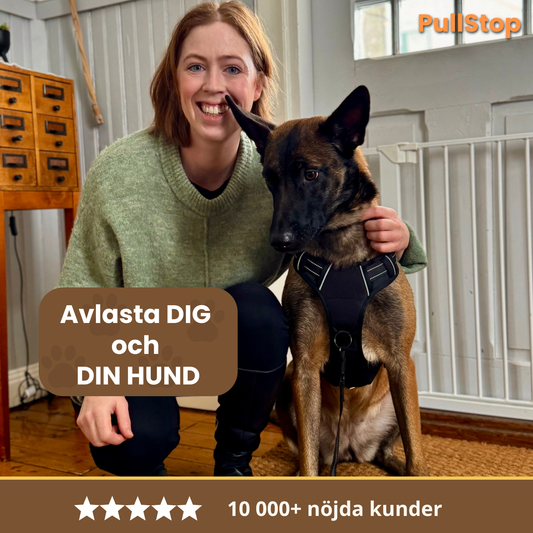 PullStop – Slipp drag i kopplet