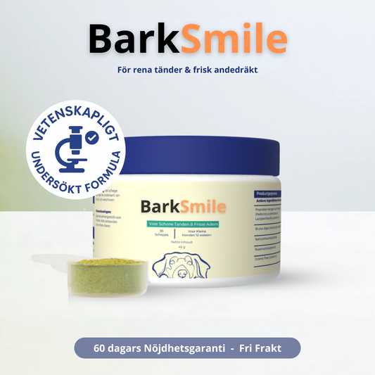 BarkSmile – Fräsch andedräkt & renare tänder