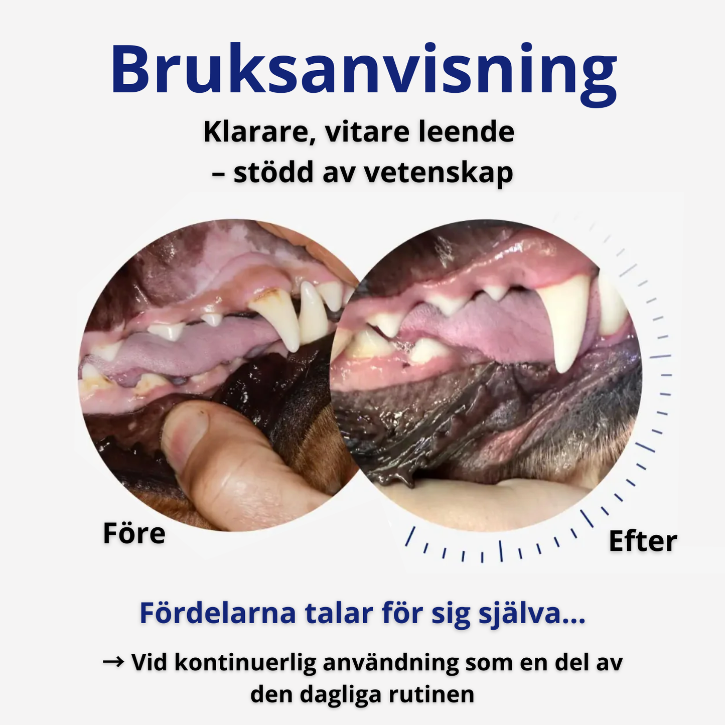 BarkSmile – Fräsch andedräkt & renare tänder